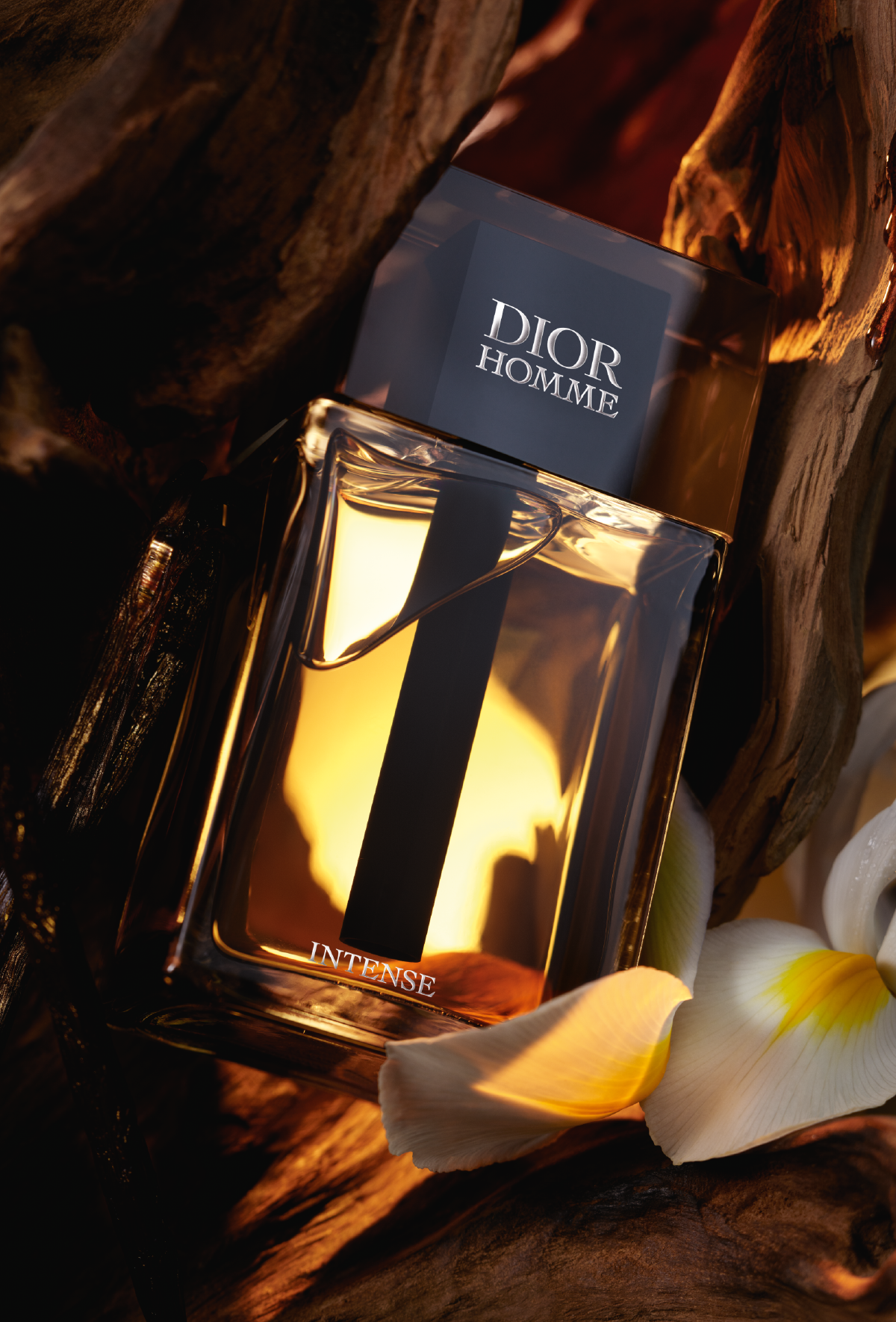 DIOR - Homme Intense, Eau de Parfum 100ml para Hombre