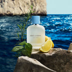 DOLCE & GABBANA - Light Blue, Eau de Toilette 100ml para Hombre.